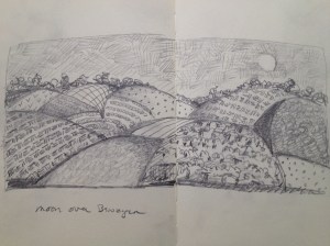 The moon over Benziger Winery