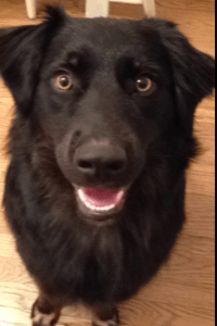 My favorite face of exuberance.