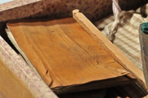 The journal/record Isabelle kept of the fever that killed Johnny.