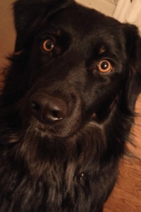 Pasta. Meat sauce. Warm Bread. Wine.