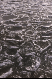 ice circles on the lake