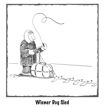 wienerdogsledcorrectspellingJPG