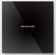 assume awe METAL WALL ART copy
