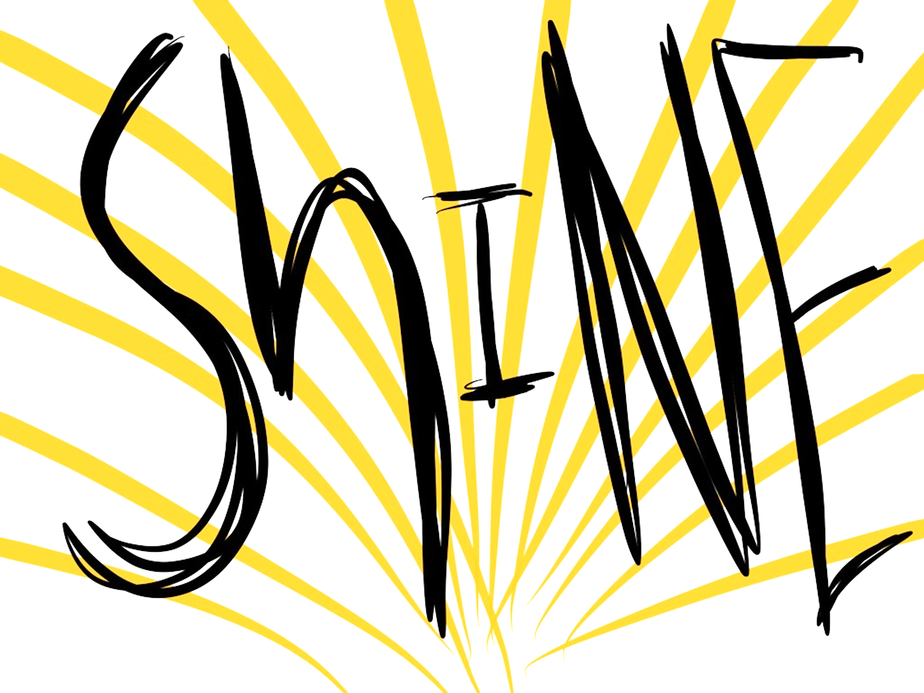 shine copy 3