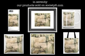 in serenity product BOX copy