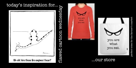 revisedflawedcartoonPRIMARYimage BOX copy 2