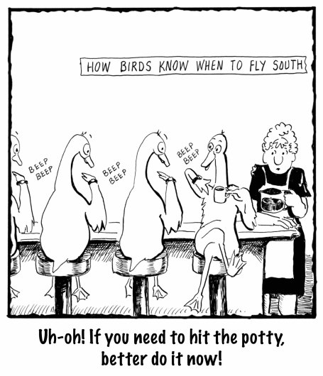 BirdsSouth BIGcopy copy 2