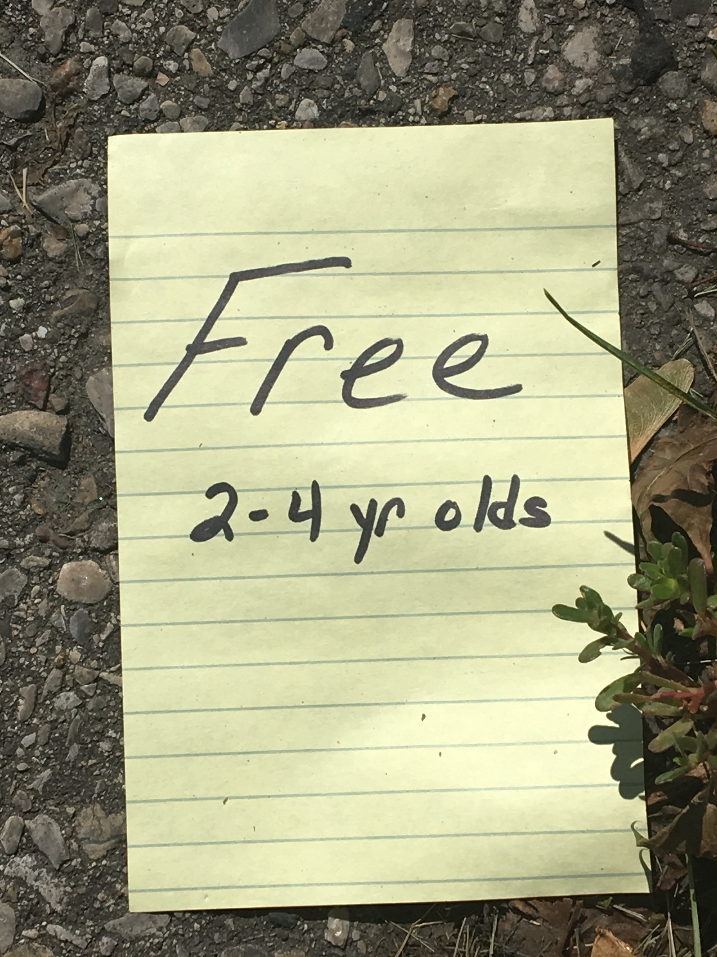 FREE2-4yearOlds copy