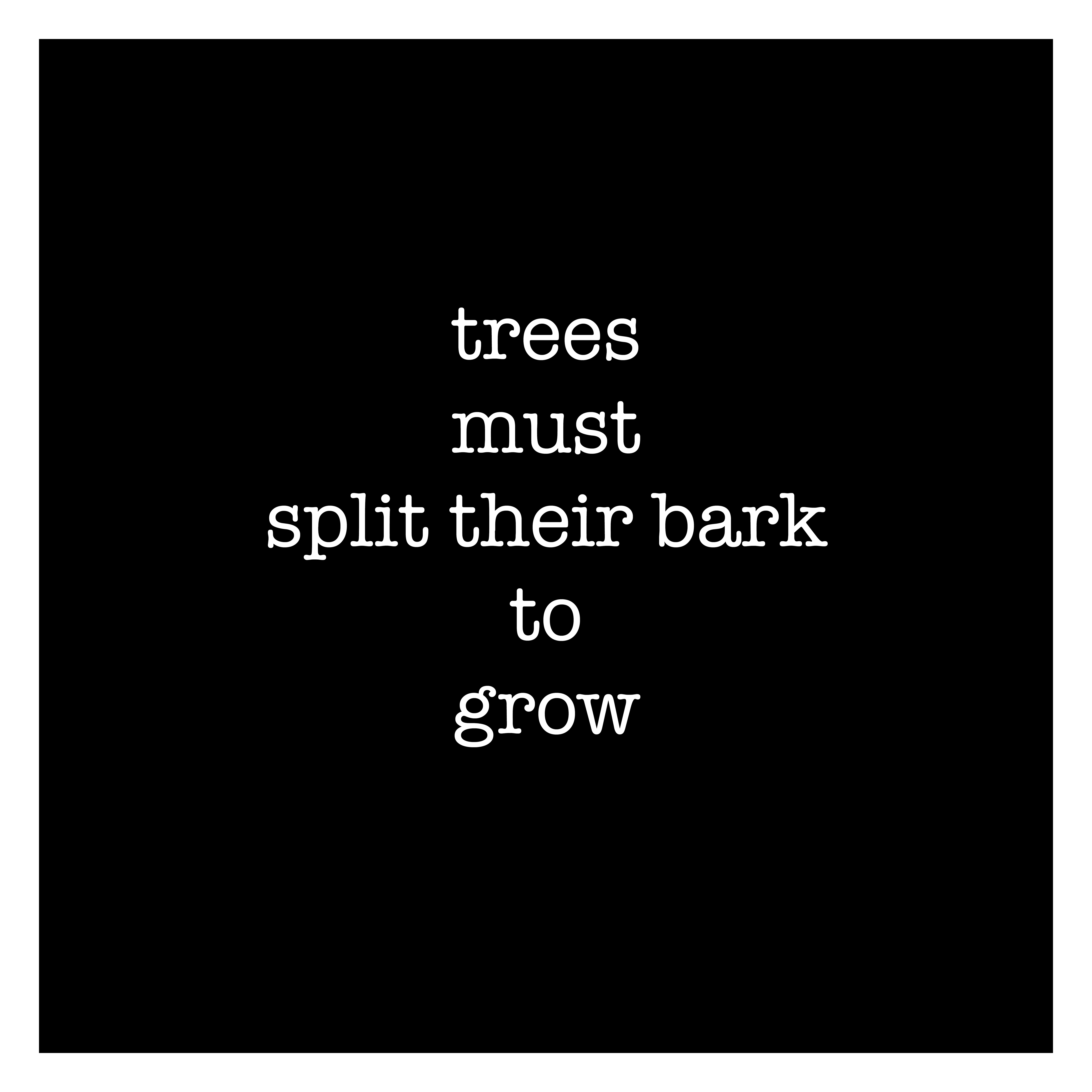 merely words framed copy