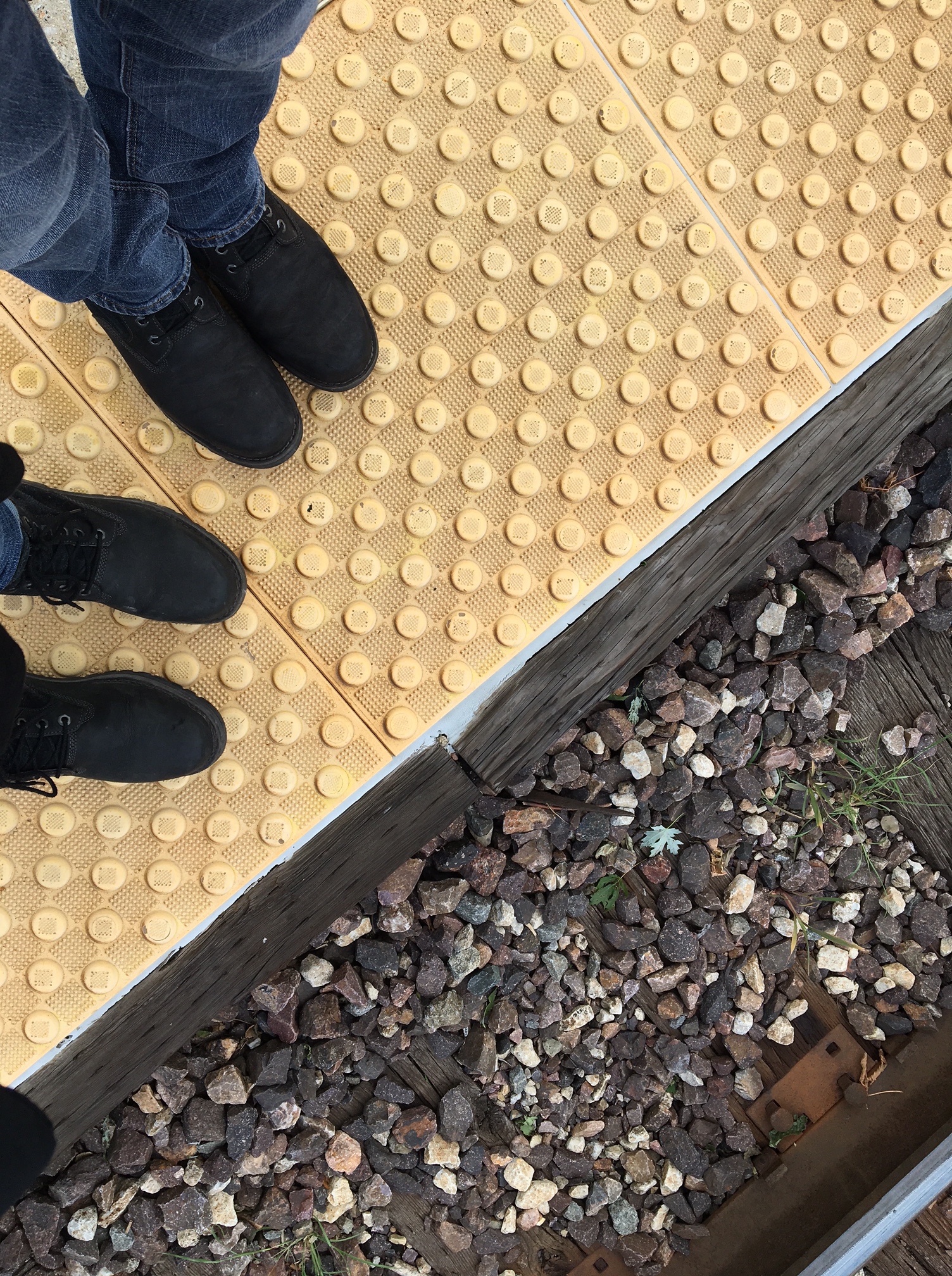 Roger's Park Feet copy