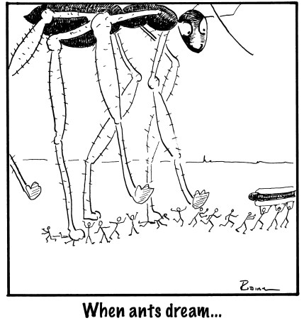when ants dream jpegBIG copy 2