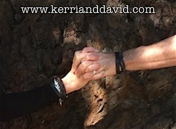 hands across tree WEBSITE BOX copy