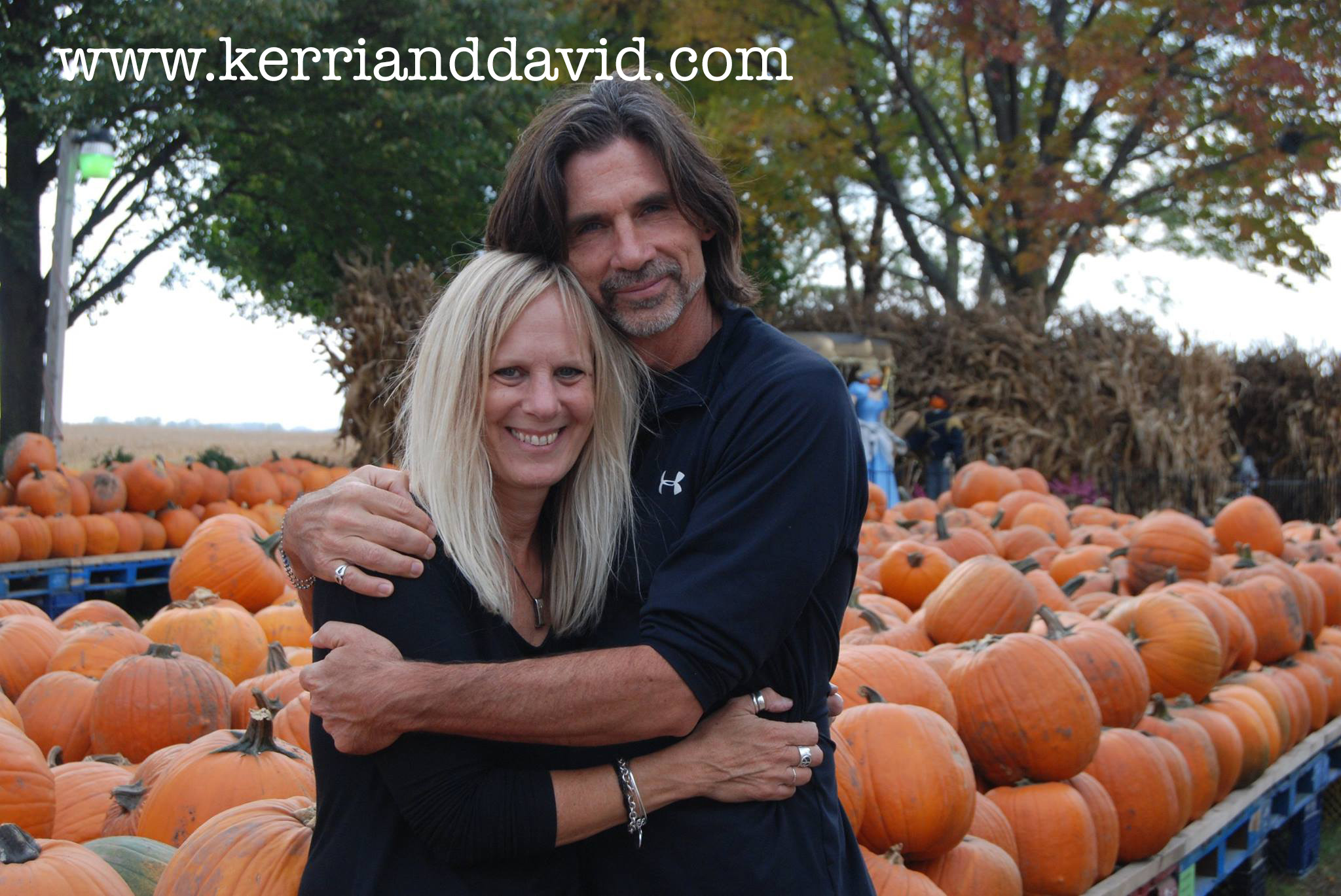 pumpkinfarm website box copy