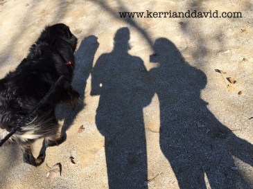 shadow des plaines river trailwebsite box copy