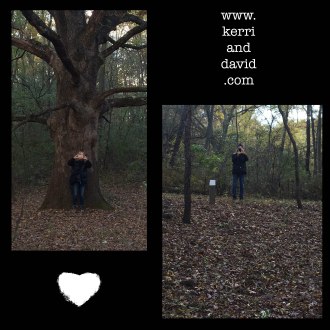 taking pix website box copy