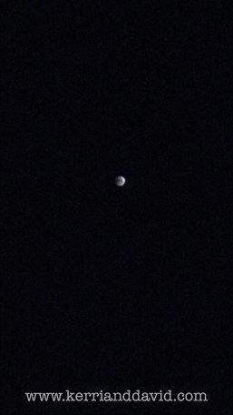 moon website box copy