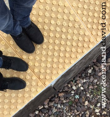 roger's park feet website box copy 2