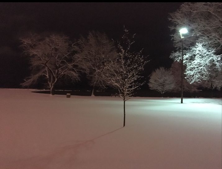 snow on the lakefront copy