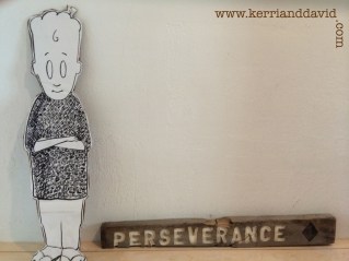 chicken and perseverance website box copy