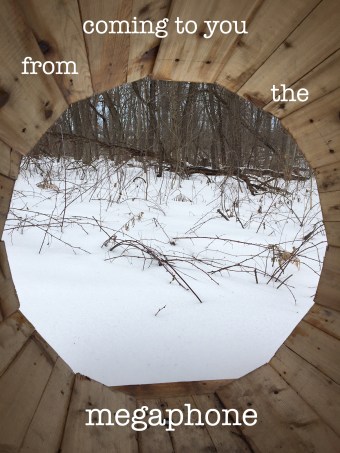 comingtoyoufrommegaphone copy