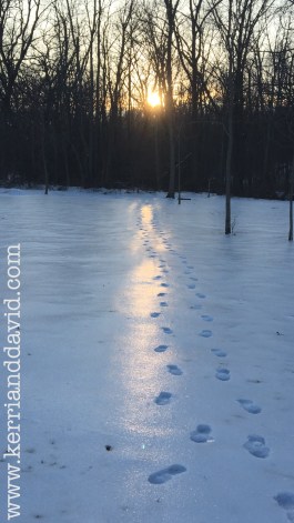 footprints in sunlit snow website box copy