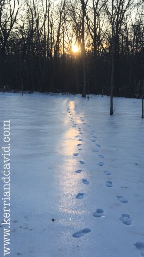footprints in sunlit snow website box copy