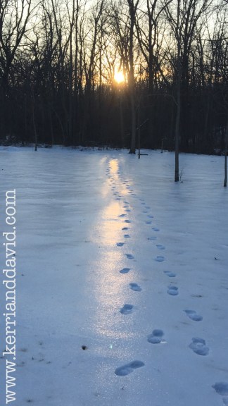 footprints in sunlit snow website box copy