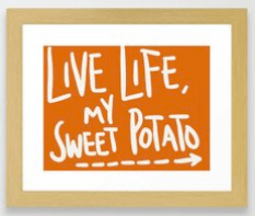 Screen Shot 2019-02-12 at 10.01.03 AM