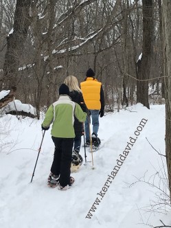 snowshoeing website box copy