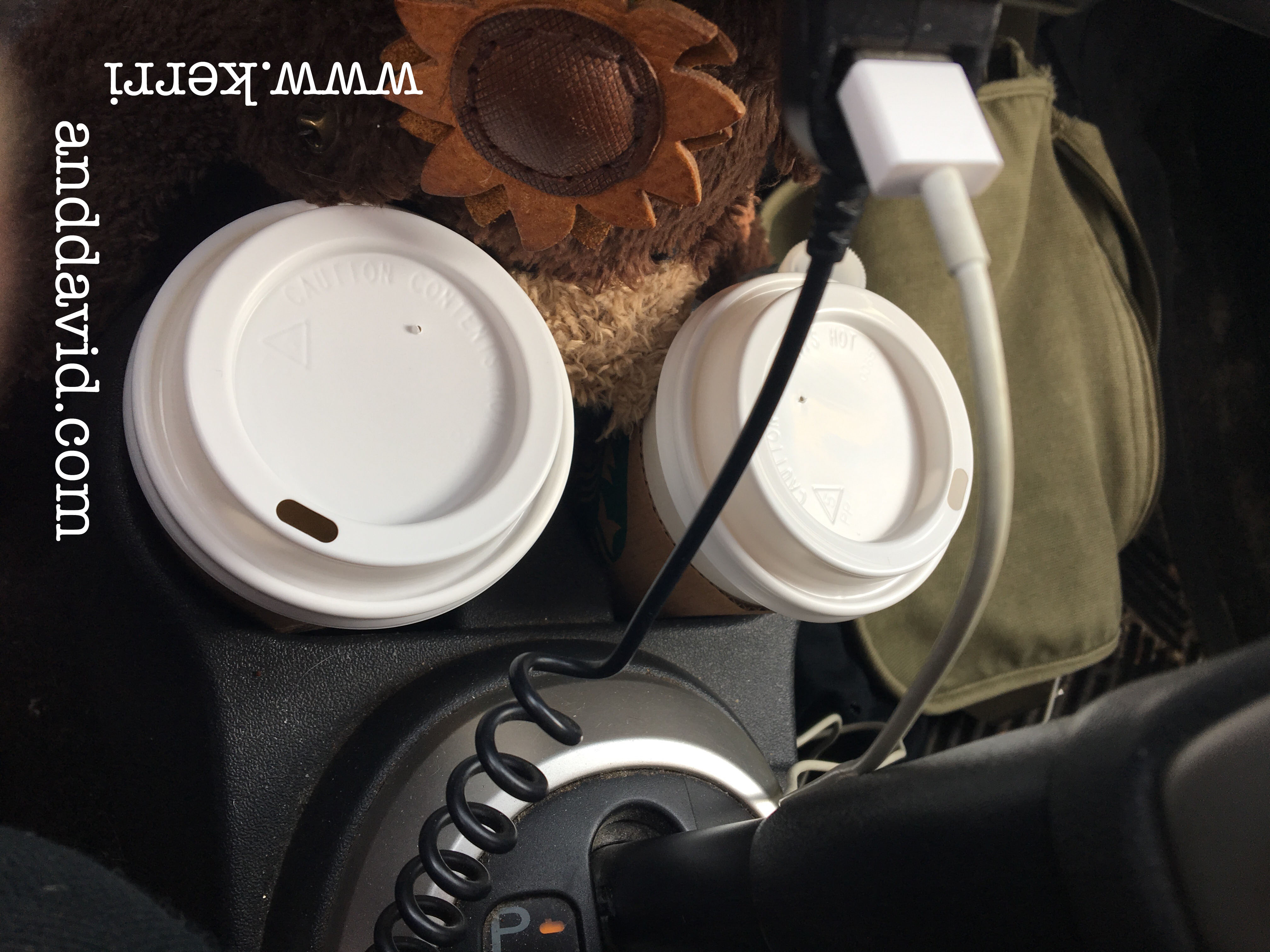 coffee cups in scion website box copy