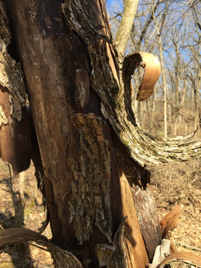 peel back the layers copy