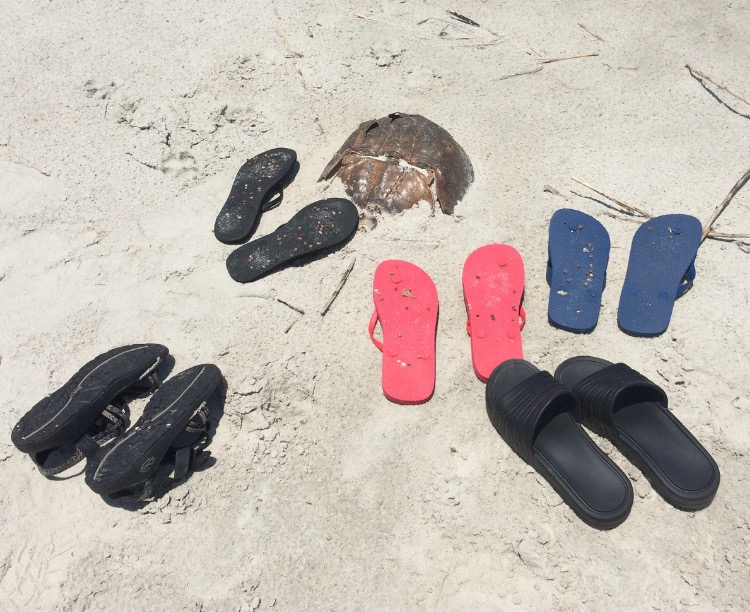 flip flop parking copy