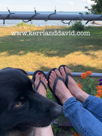 doggadeck website box copy