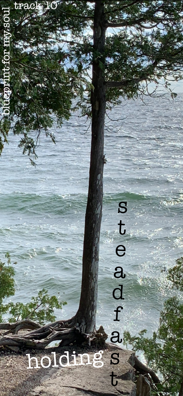 holdingsteadfast songbox copy