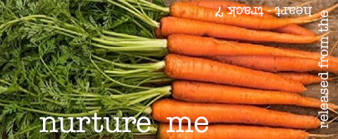 nurture me songbox copy