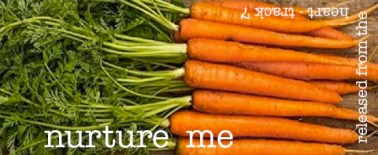 nurture me songbox copy