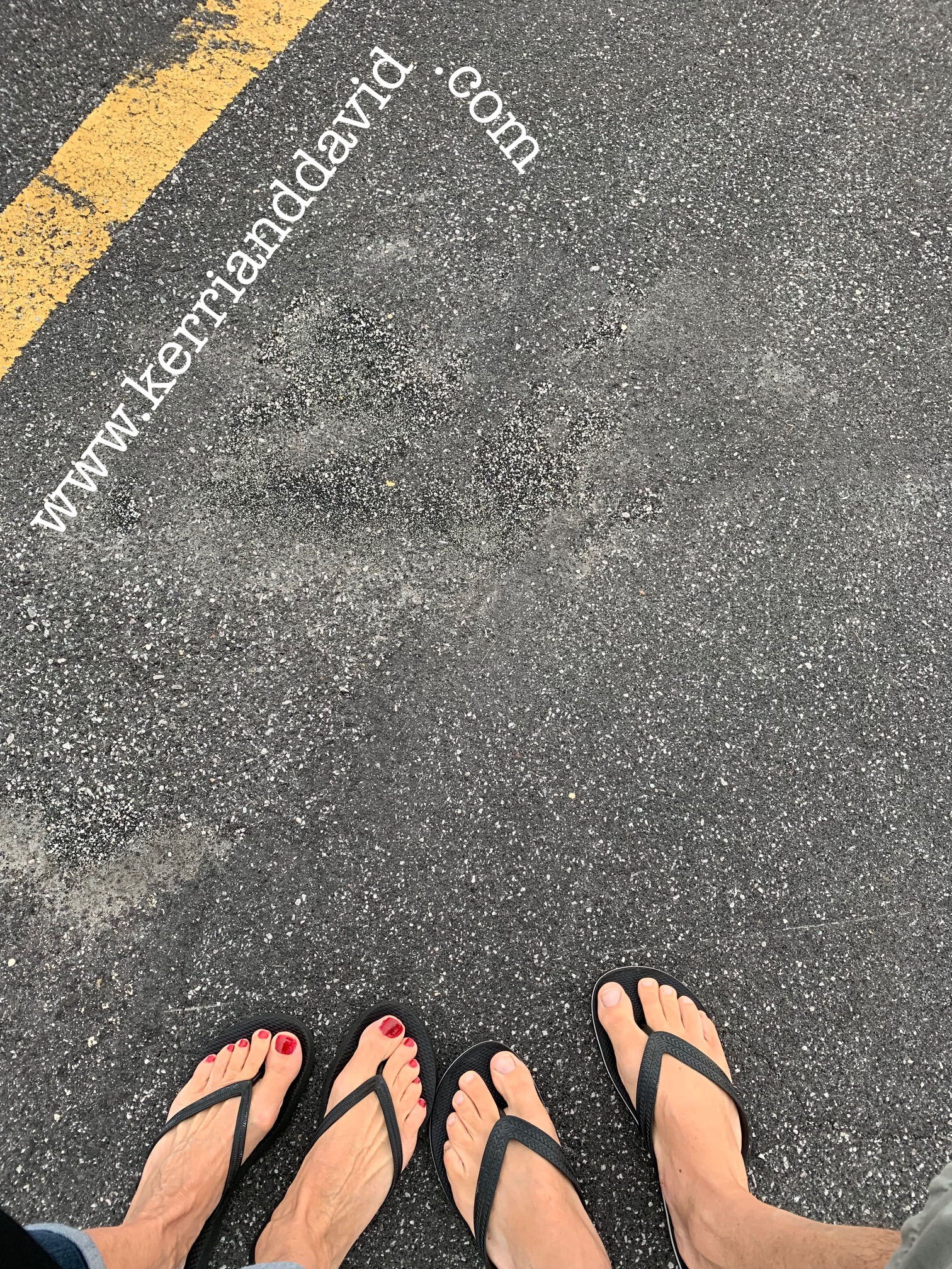 smidgefeetonroadwebsite box copy