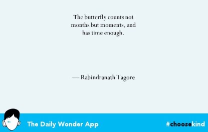 wonder app quote