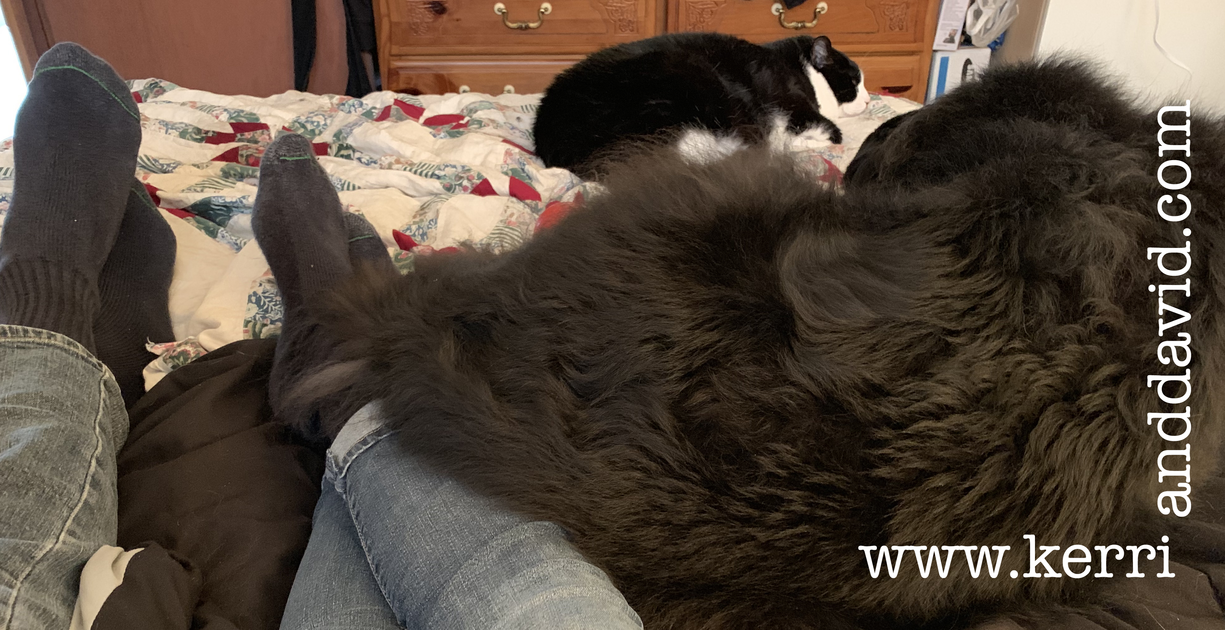 all of us on island website box copy