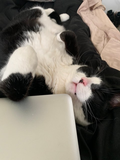 BabyCat Computer copy