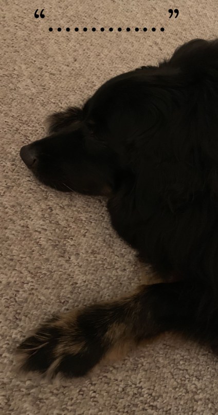 dogga end of day copy