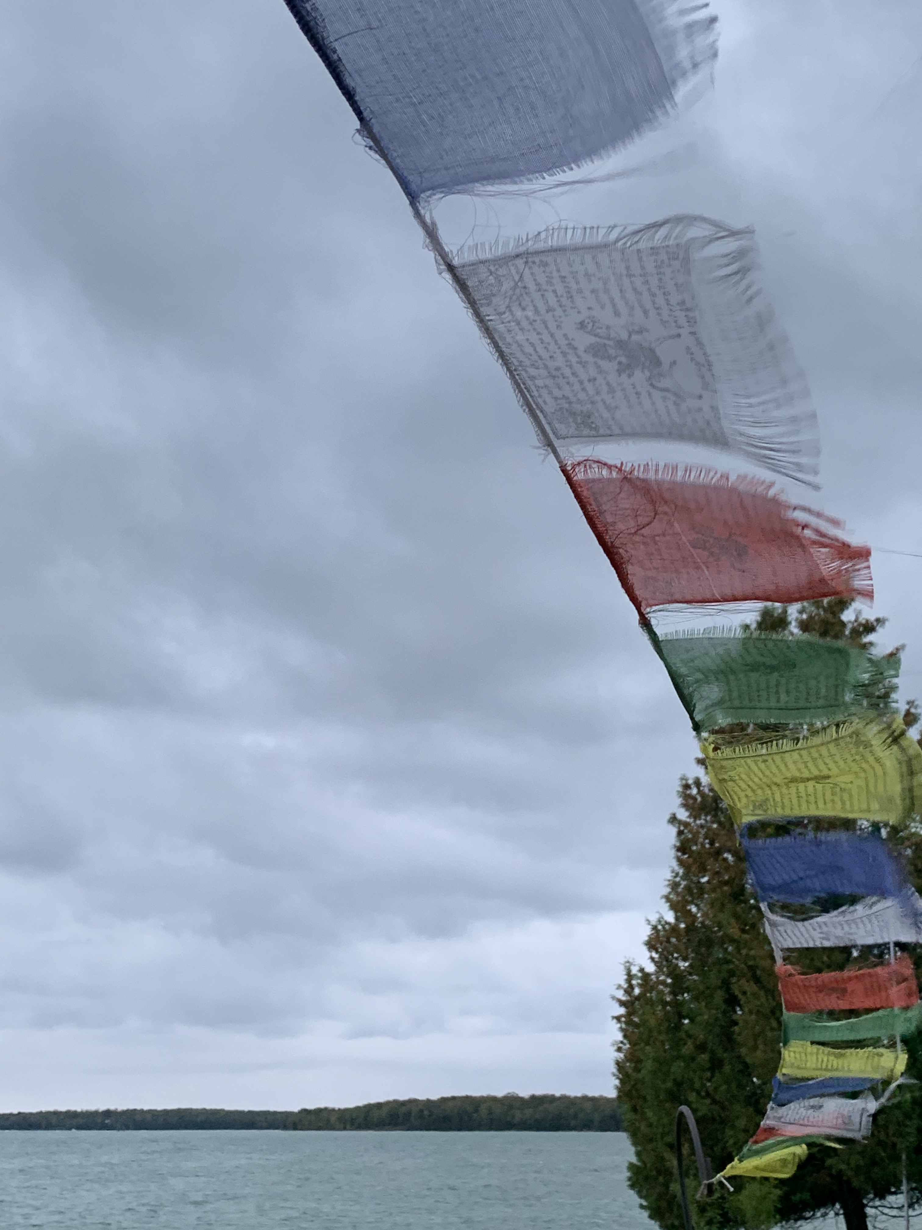 windblown flags copy