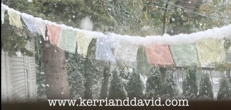 prayerflagsinsnow website box copy