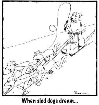 when sled dogs dream jpeg copy