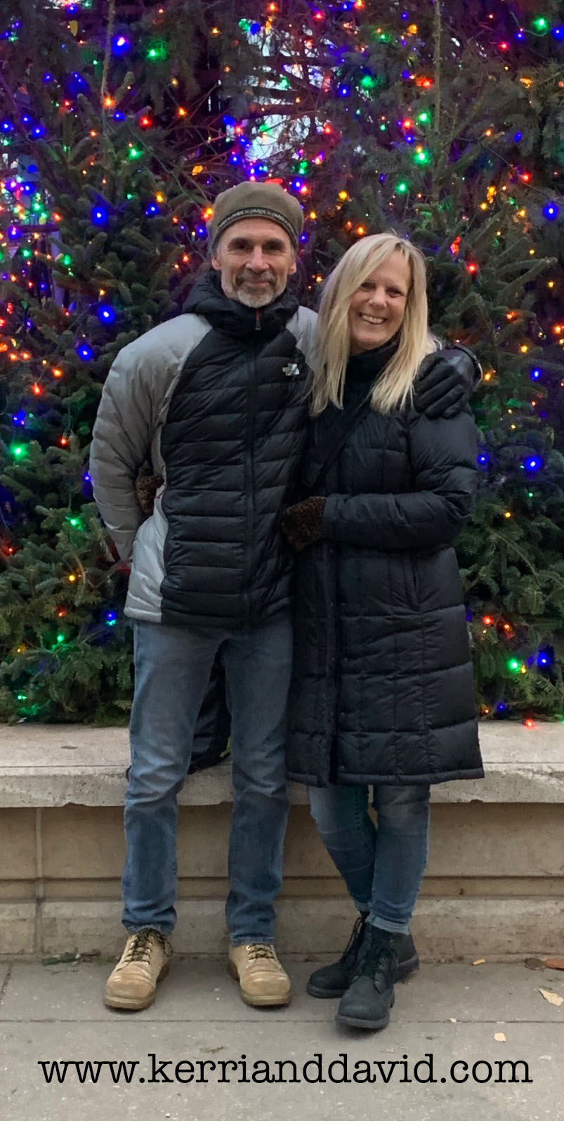 milleniumparktree website box copy