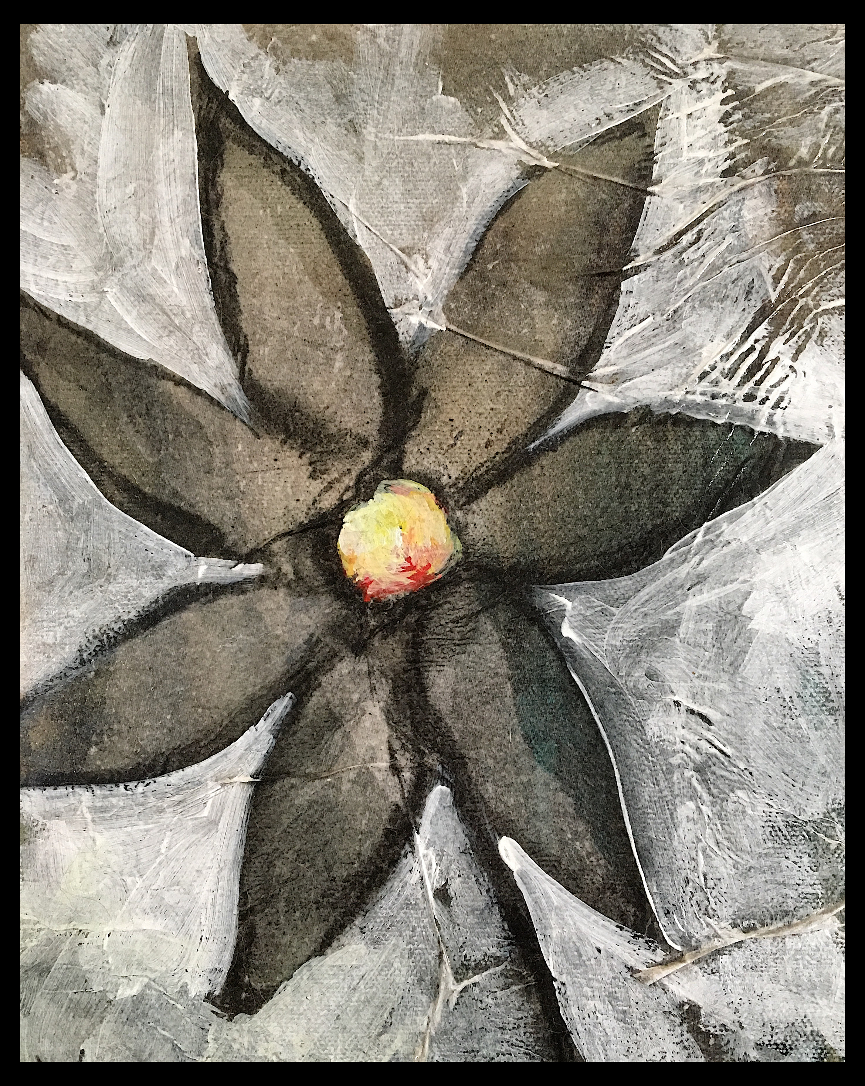 daisy framed copy jpeg copy