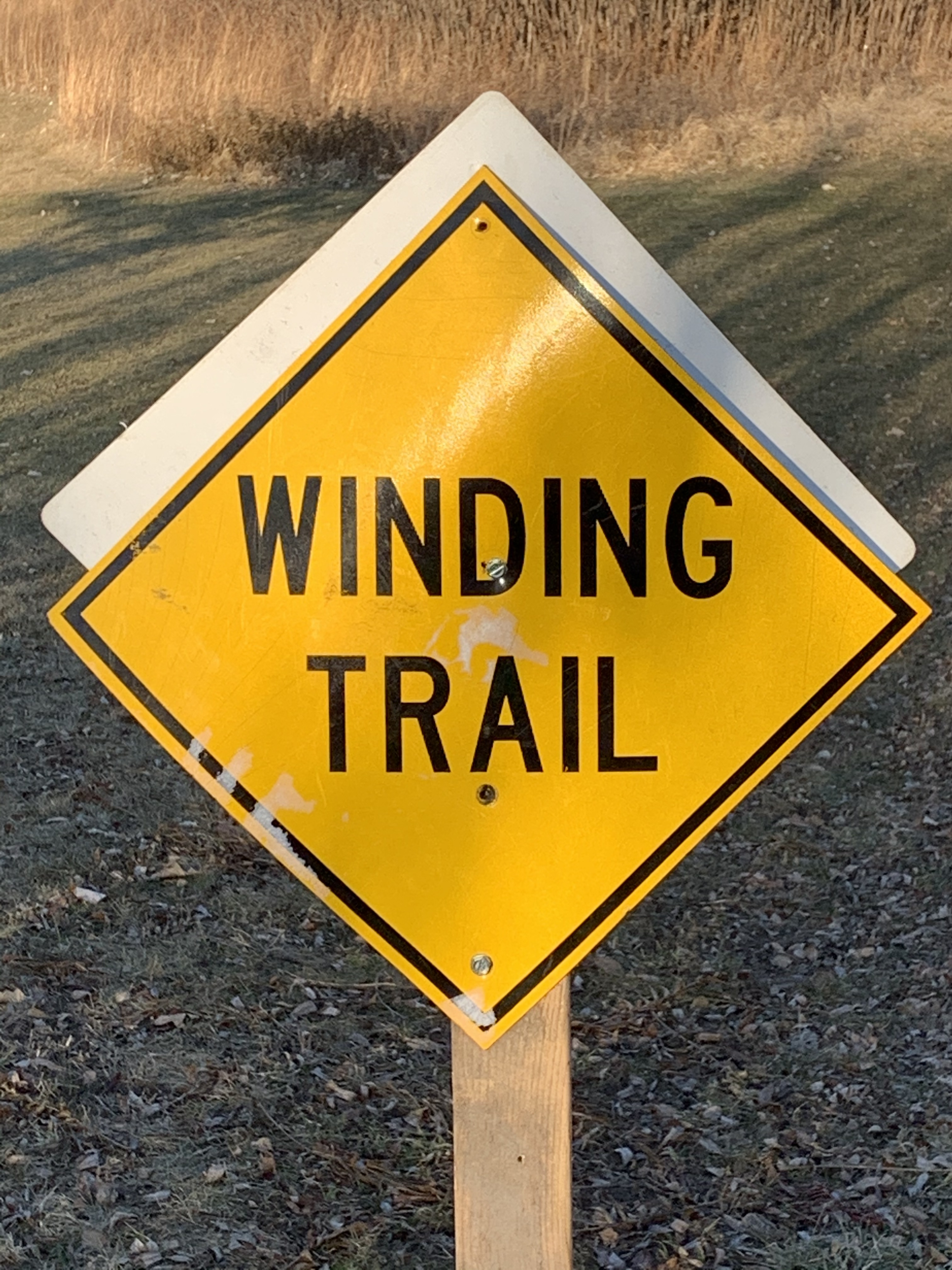 winding trail copy