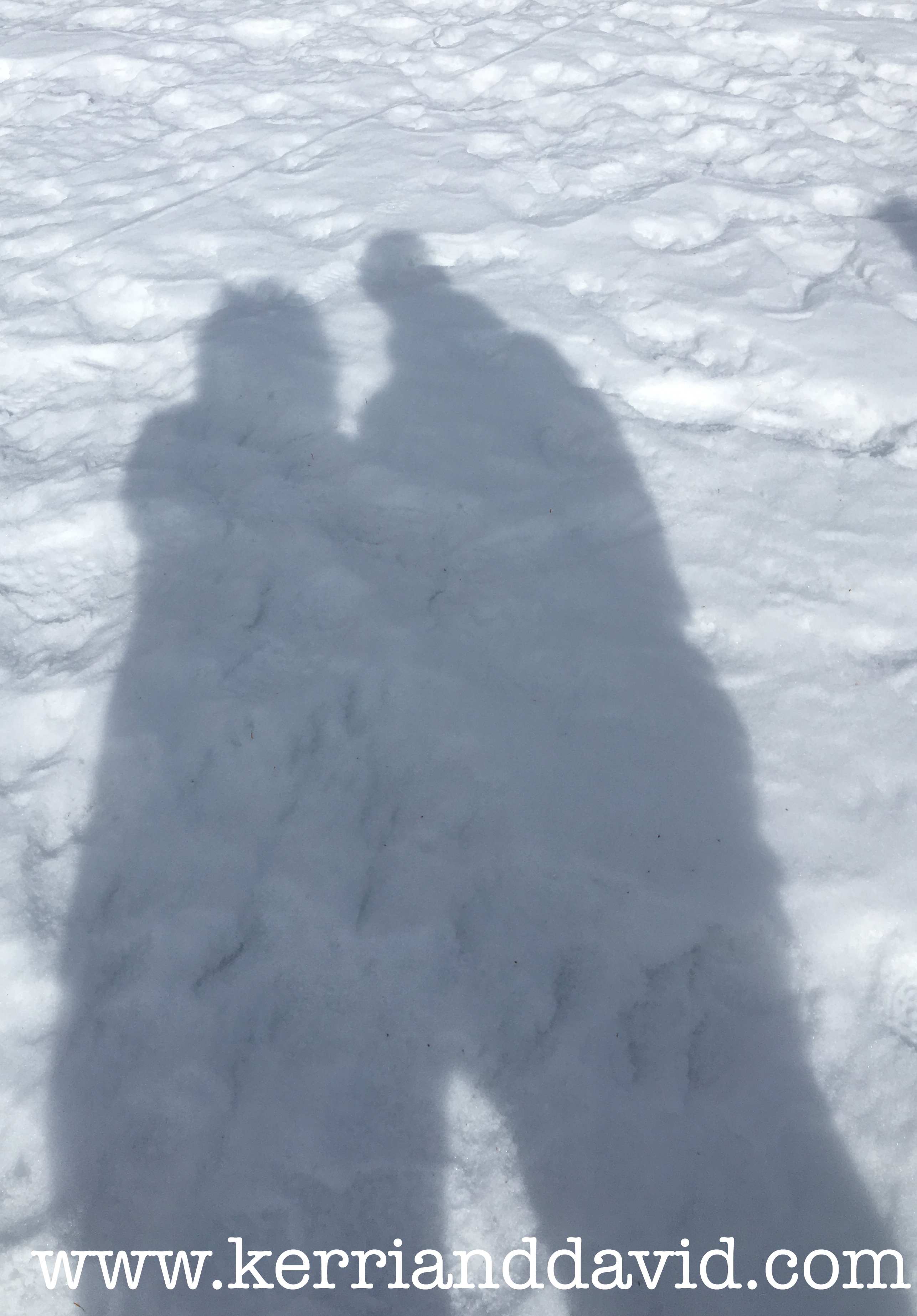 frozen lake website box copy