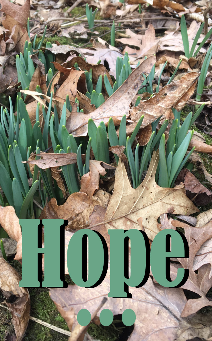 hope (spring) copy