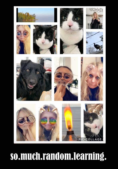 so much random learning copy